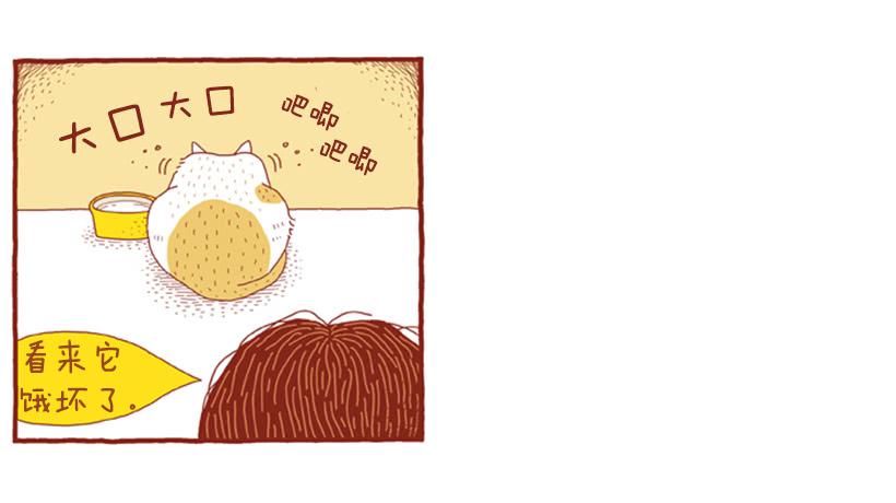 不漏雨的小窝-第5话