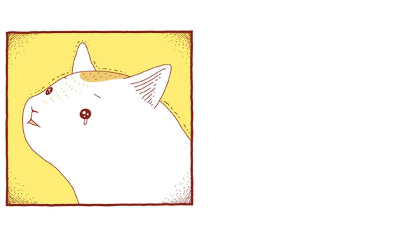 不漏雨的小窝-第5话