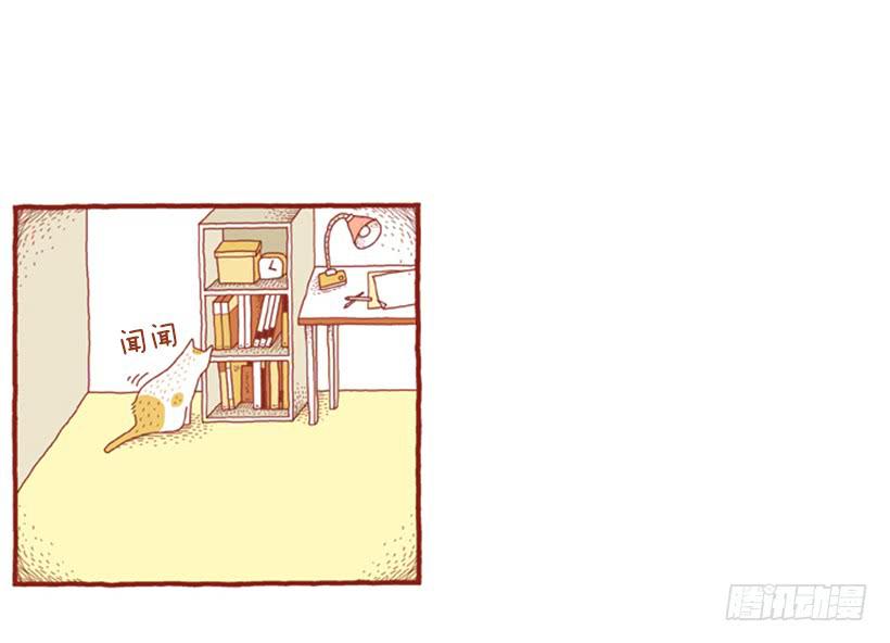 不漏雨的小窝-第5话