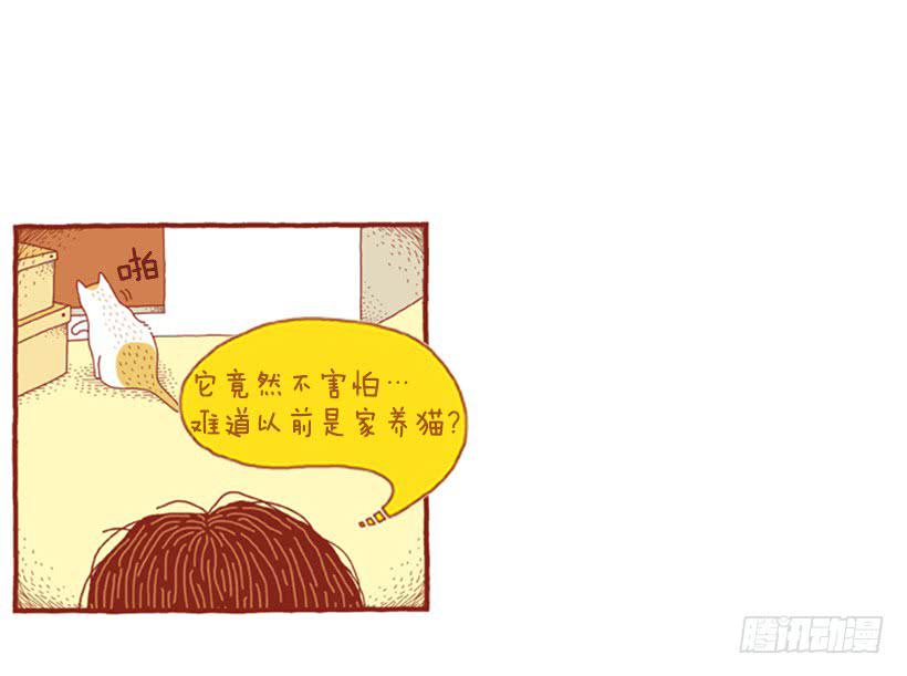 不漏雨的小窝-第5话