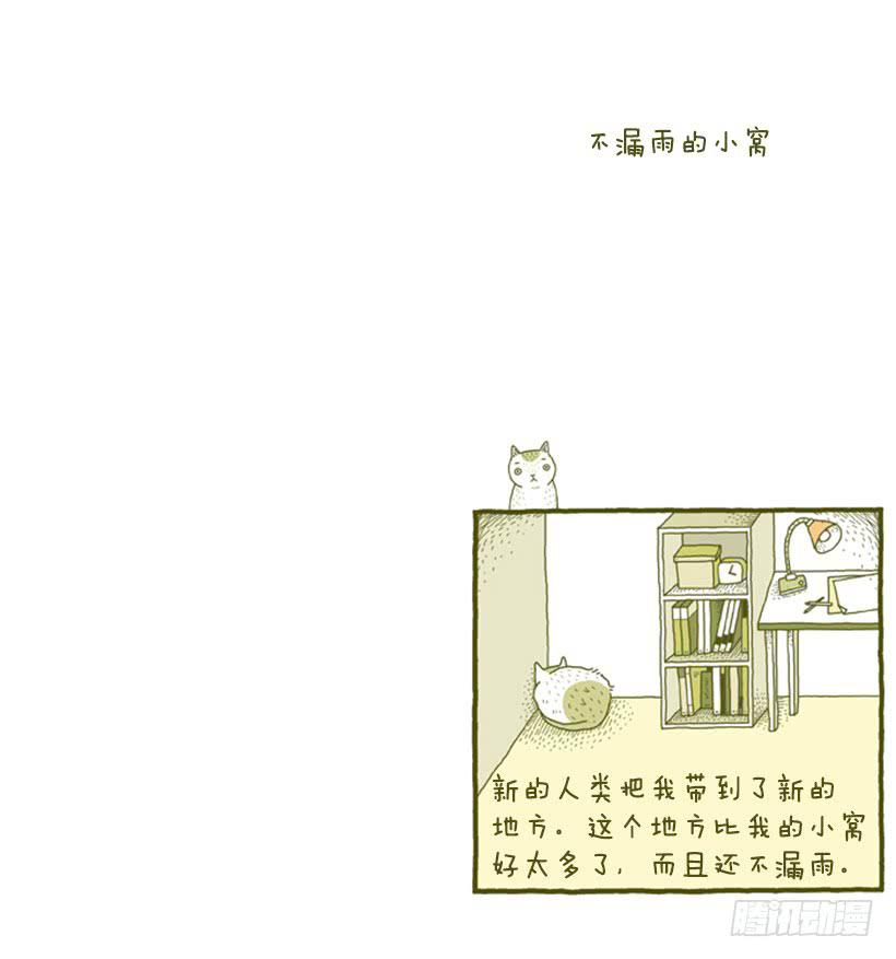 不漏雨的小窝-第5话