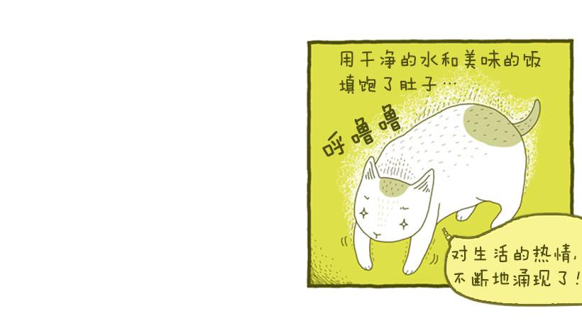 不漏雨的小窝-第5话