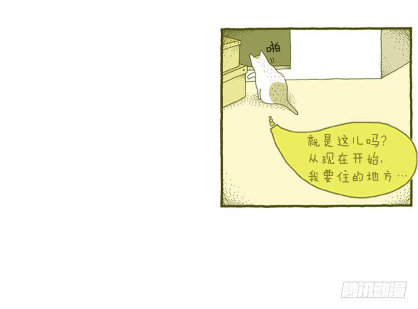 不漏雨的小窝-第5话