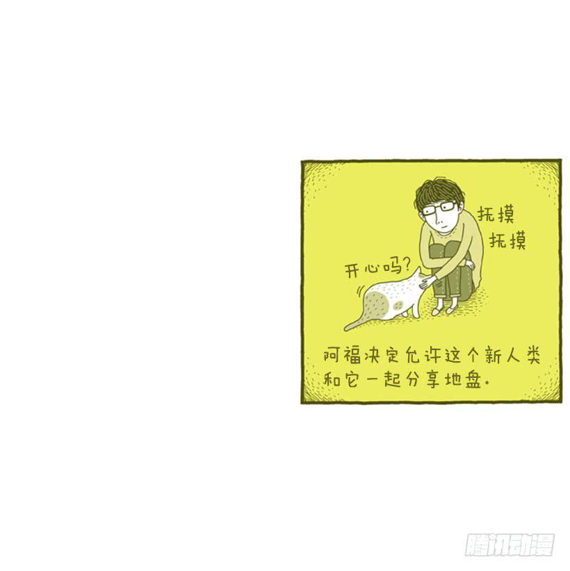 不漏雨的小窝-第5话