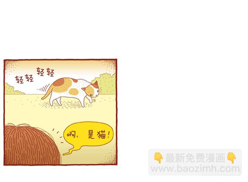 那个女人的往事-第41话