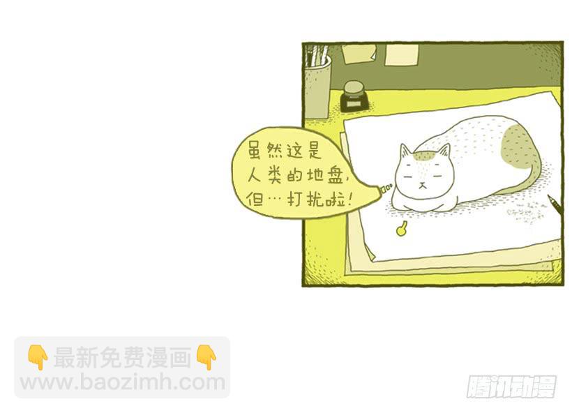 人类的地盘-第7话