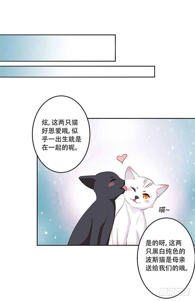 034 灰姑娘-第35话