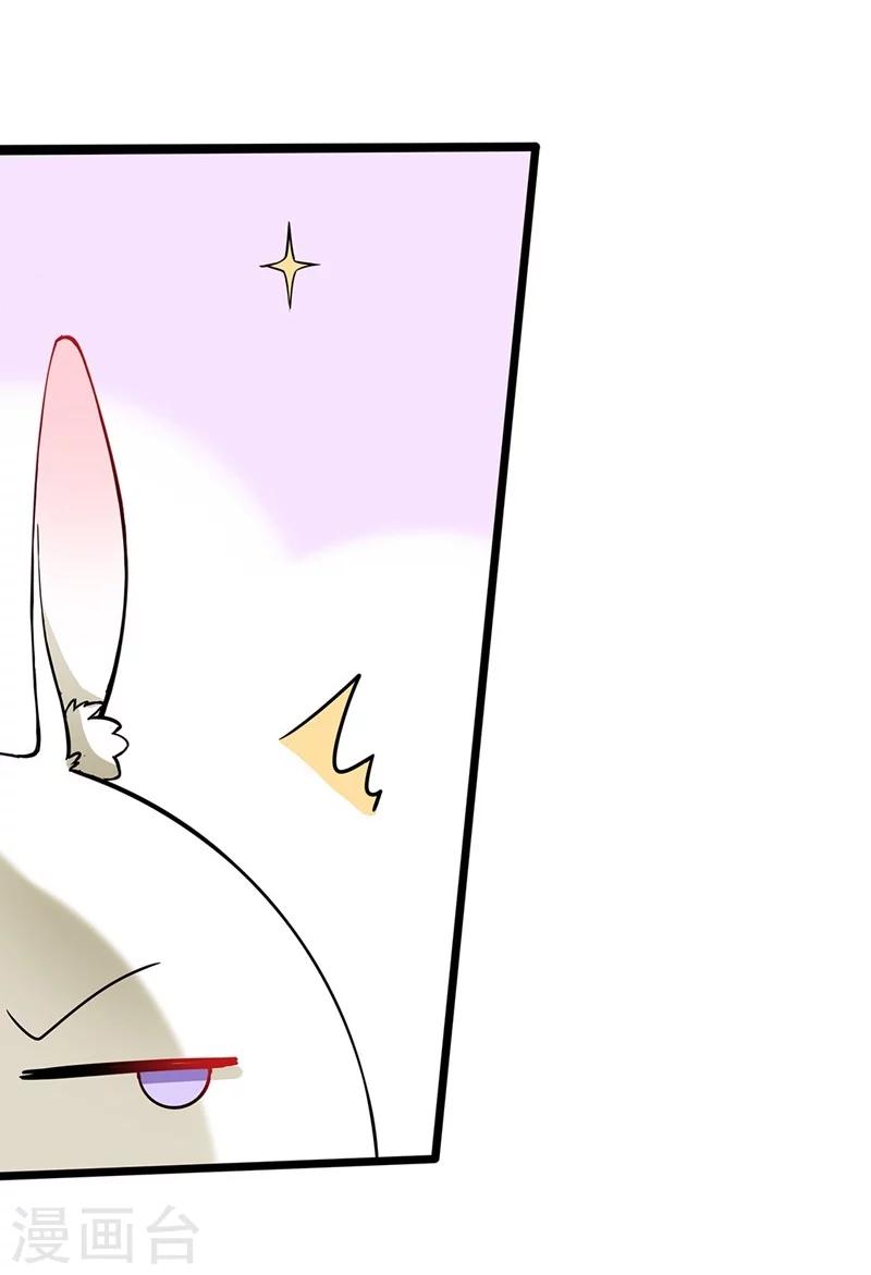 第1话 棉兔小棉-第1话