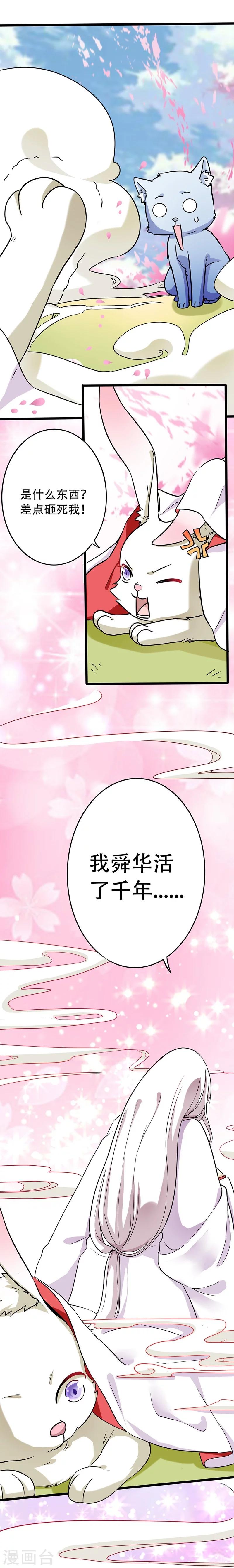 第1话 棉兔小棉-第1话