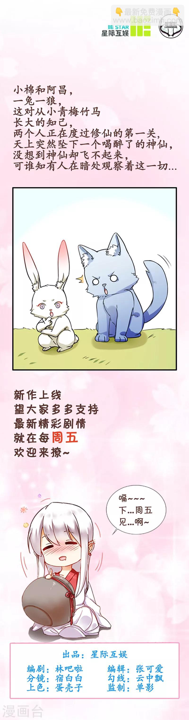 第1话 棉兔小棉-第1话