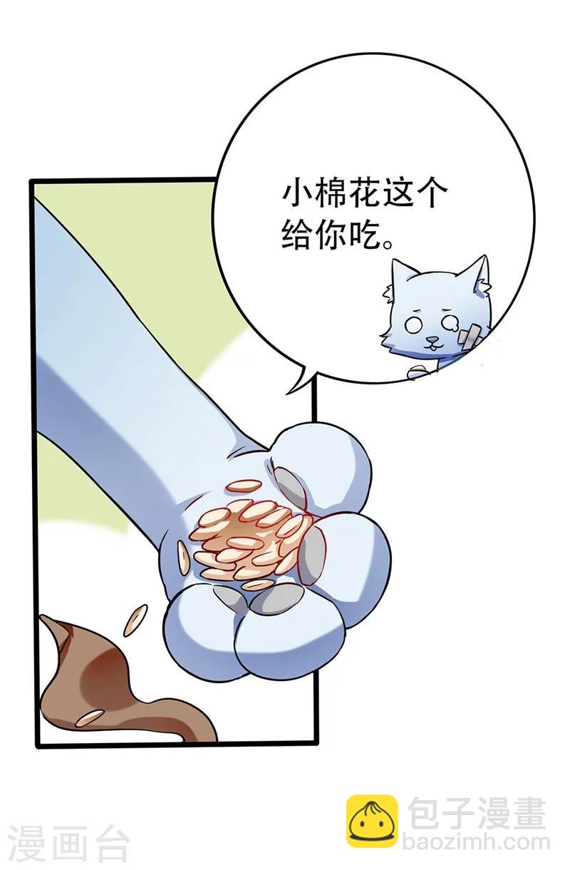 第1话 棉兔小棉-第1话