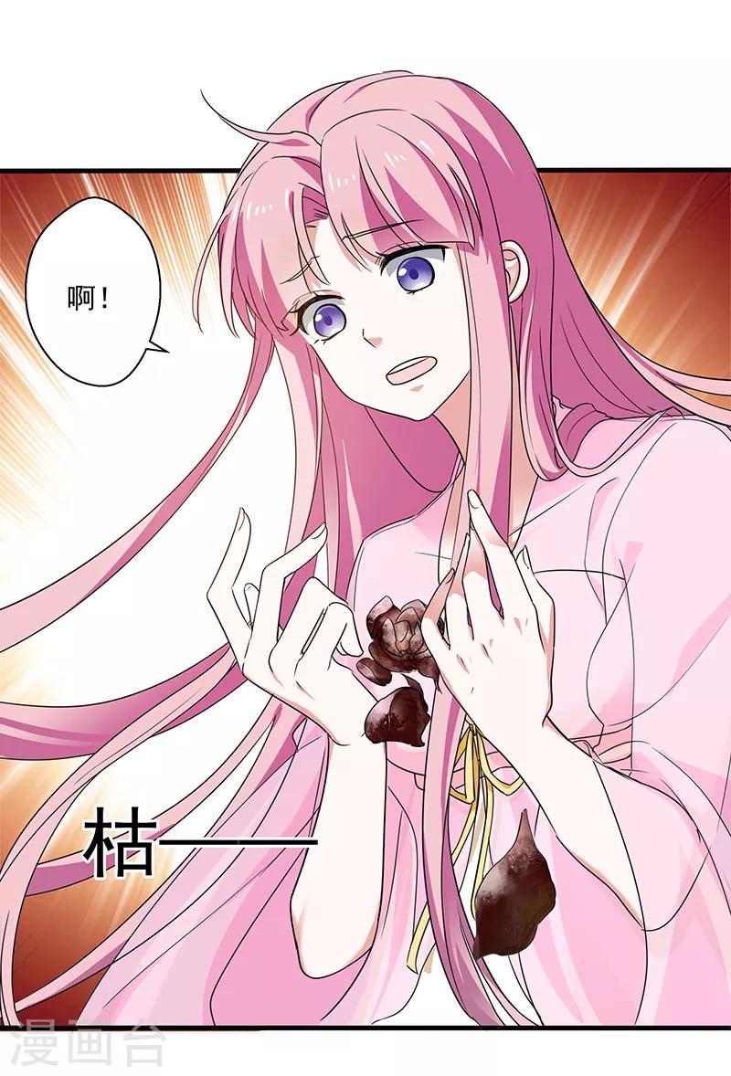 第19话 蔷薇花谢-第19话