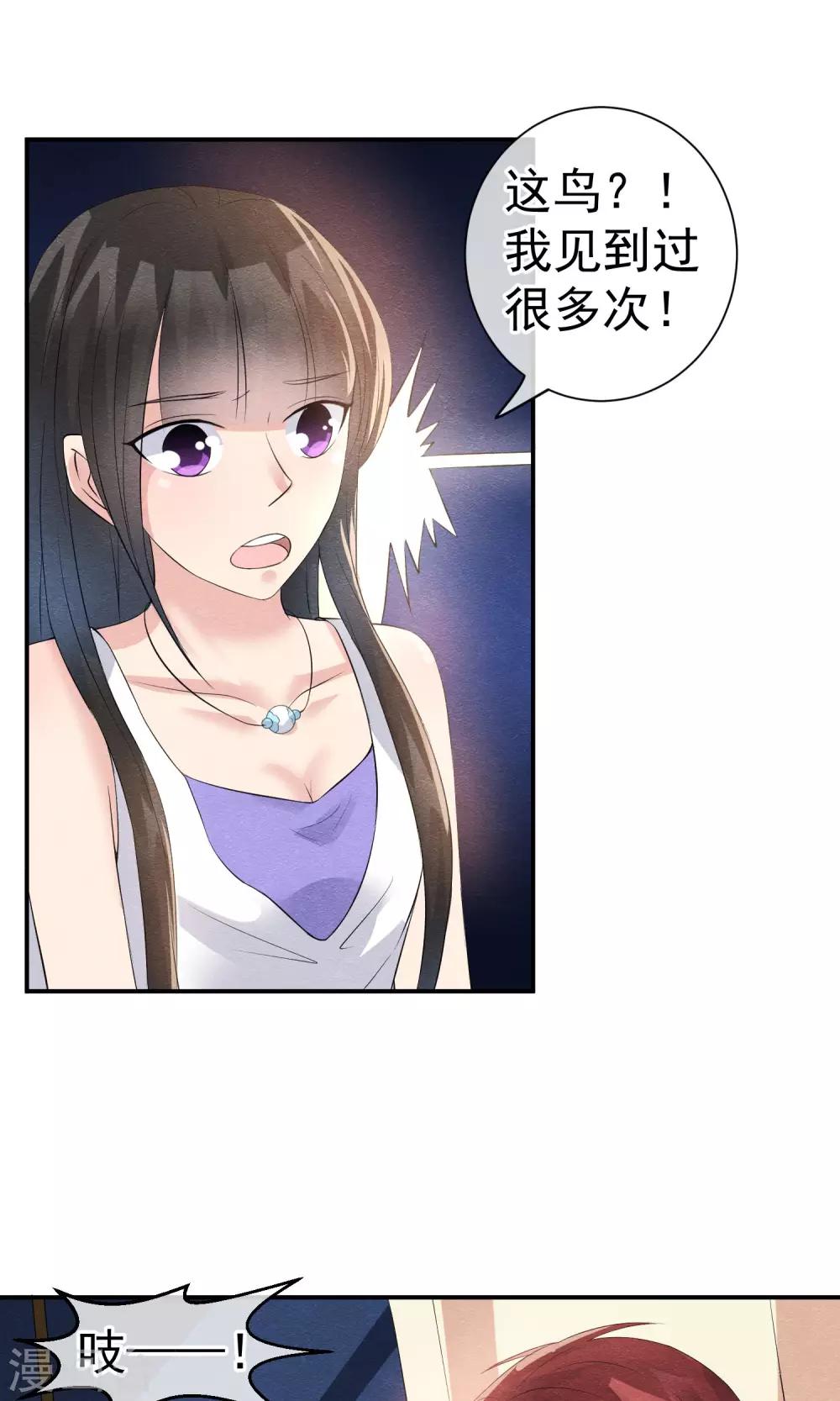 第25话 突击的蓝色飞鸟-第27话