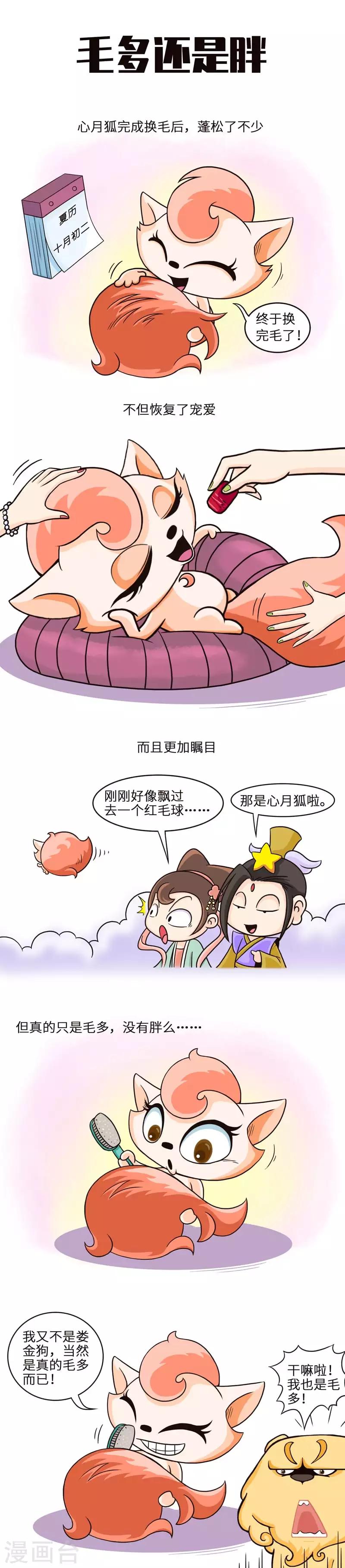 第25话 毛发丰盈程度影响颜值-第25话