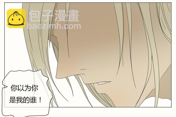 第二十八话(1/2)-第29话