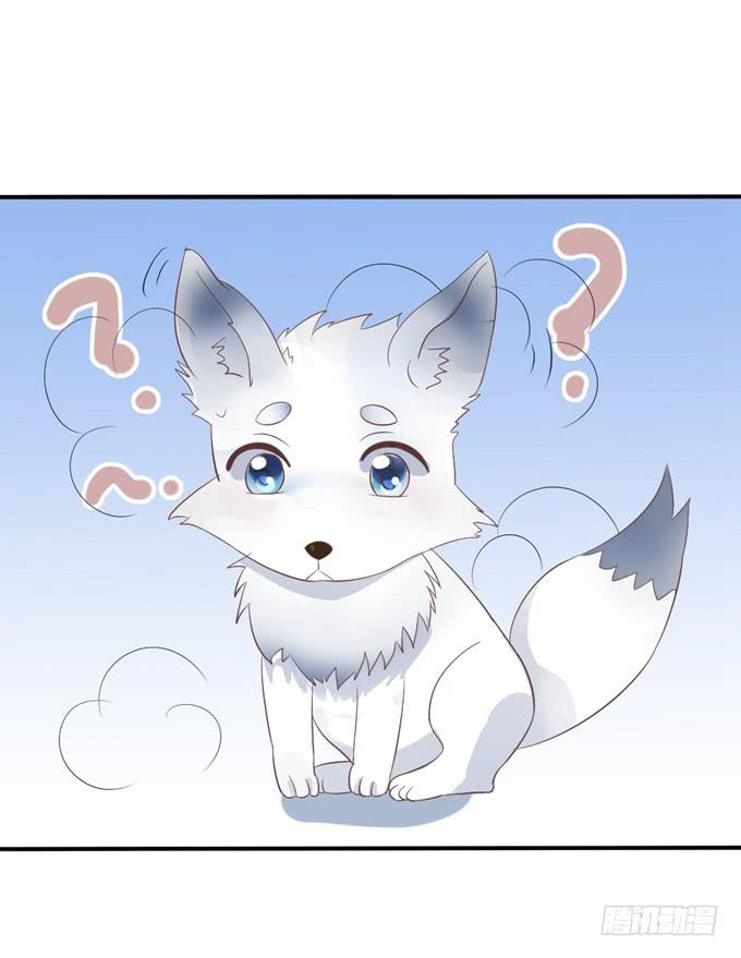 皇子化形(1/2)-第13话