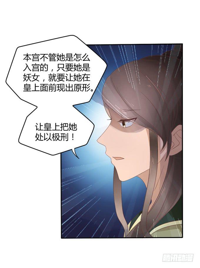 皇子化形(1/2)-第13话