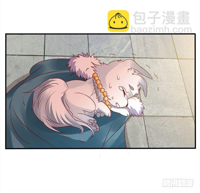 选妃风波(1/2)-第29话