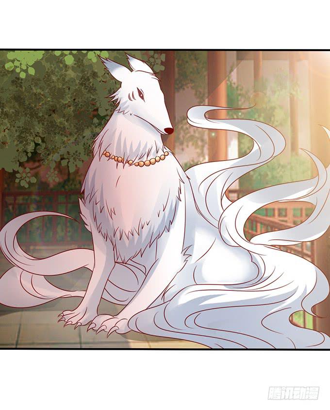 选妃风波(1/2)-第29话