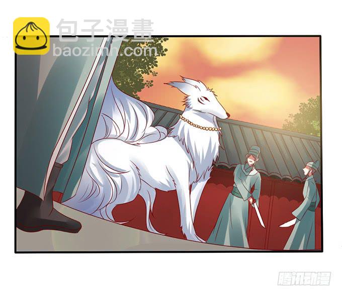 选妃风波(1/2)-第29话