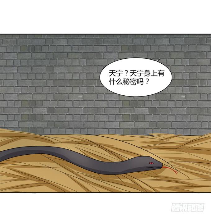 贵妃之死(1/2)-第53话