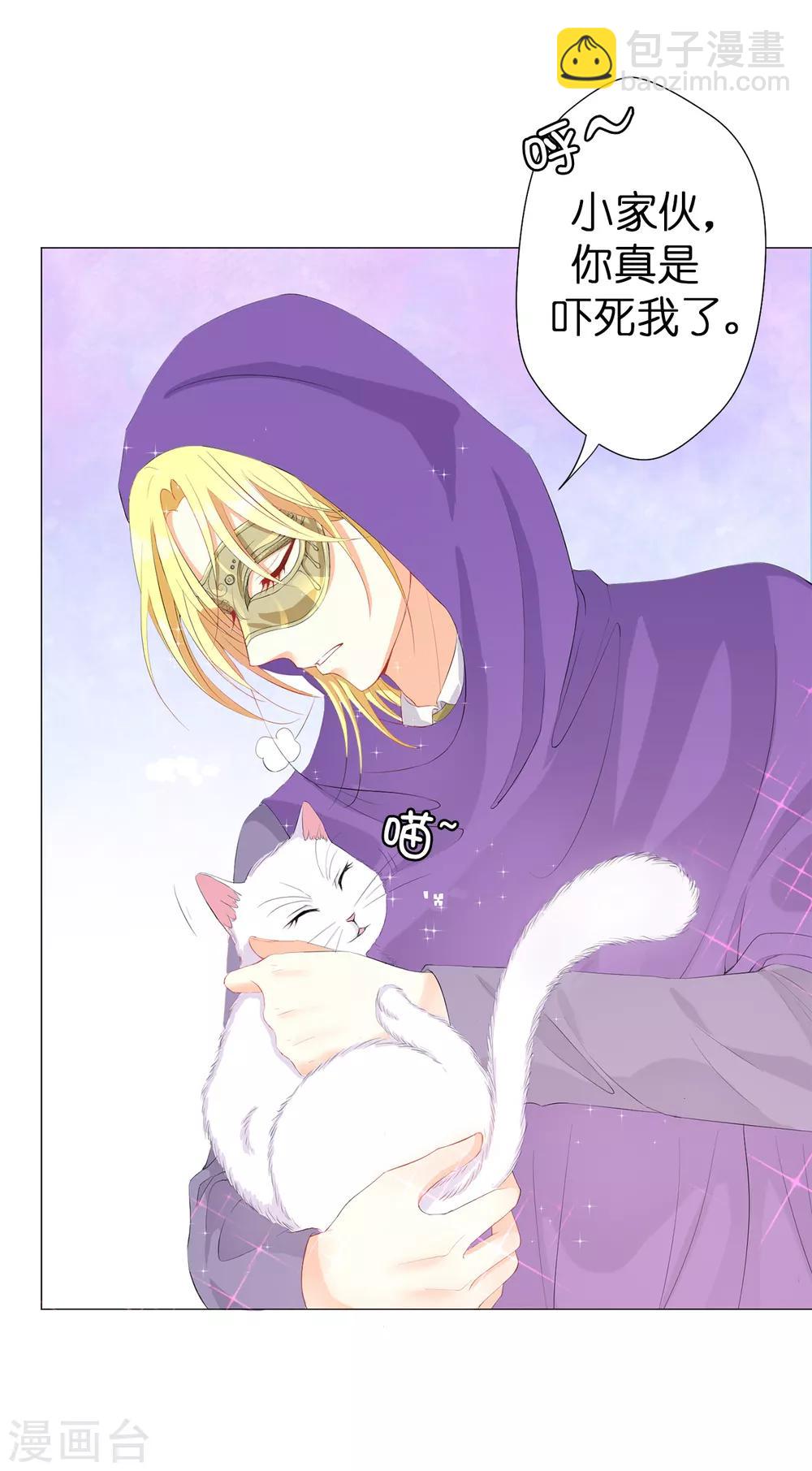 第42话 人不如猫-第43话