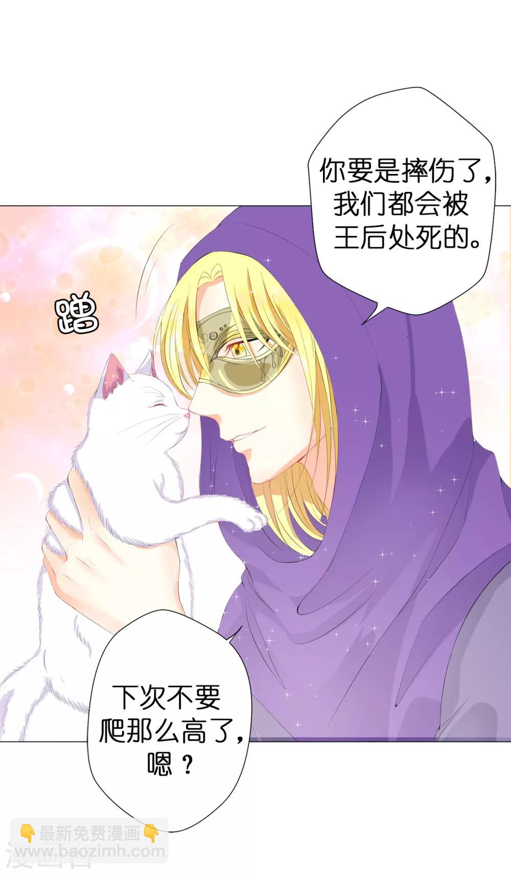 第42话 人不如猫-第43话