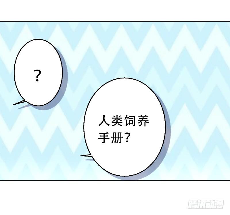 013 煮夫养成！抓住她的胃-第13话