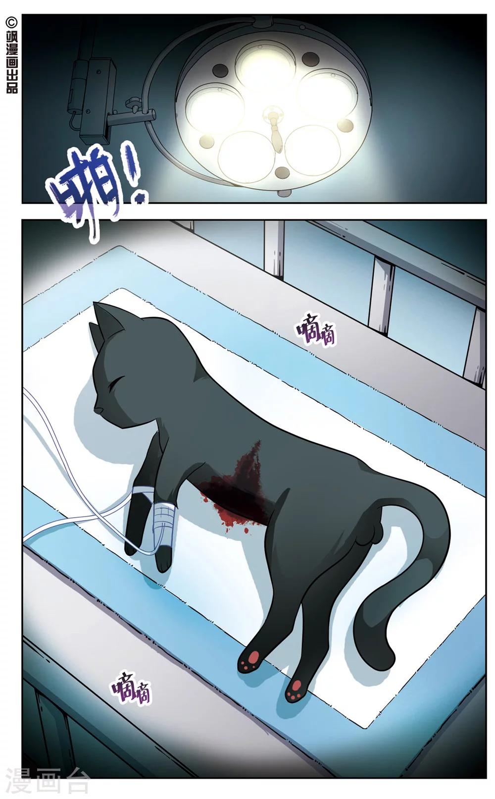 第1话 黑猫1-第1话