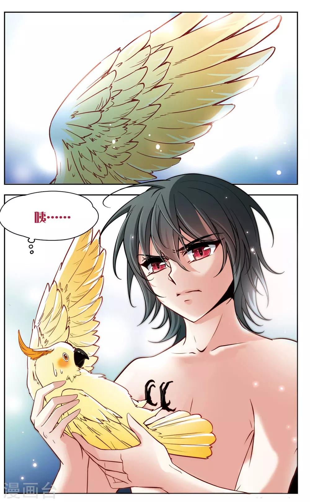 第5话 黑猫5-第5话