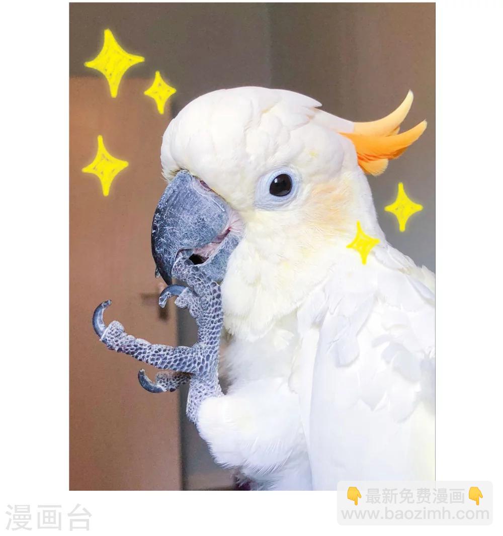 番外1 小百科-第67话