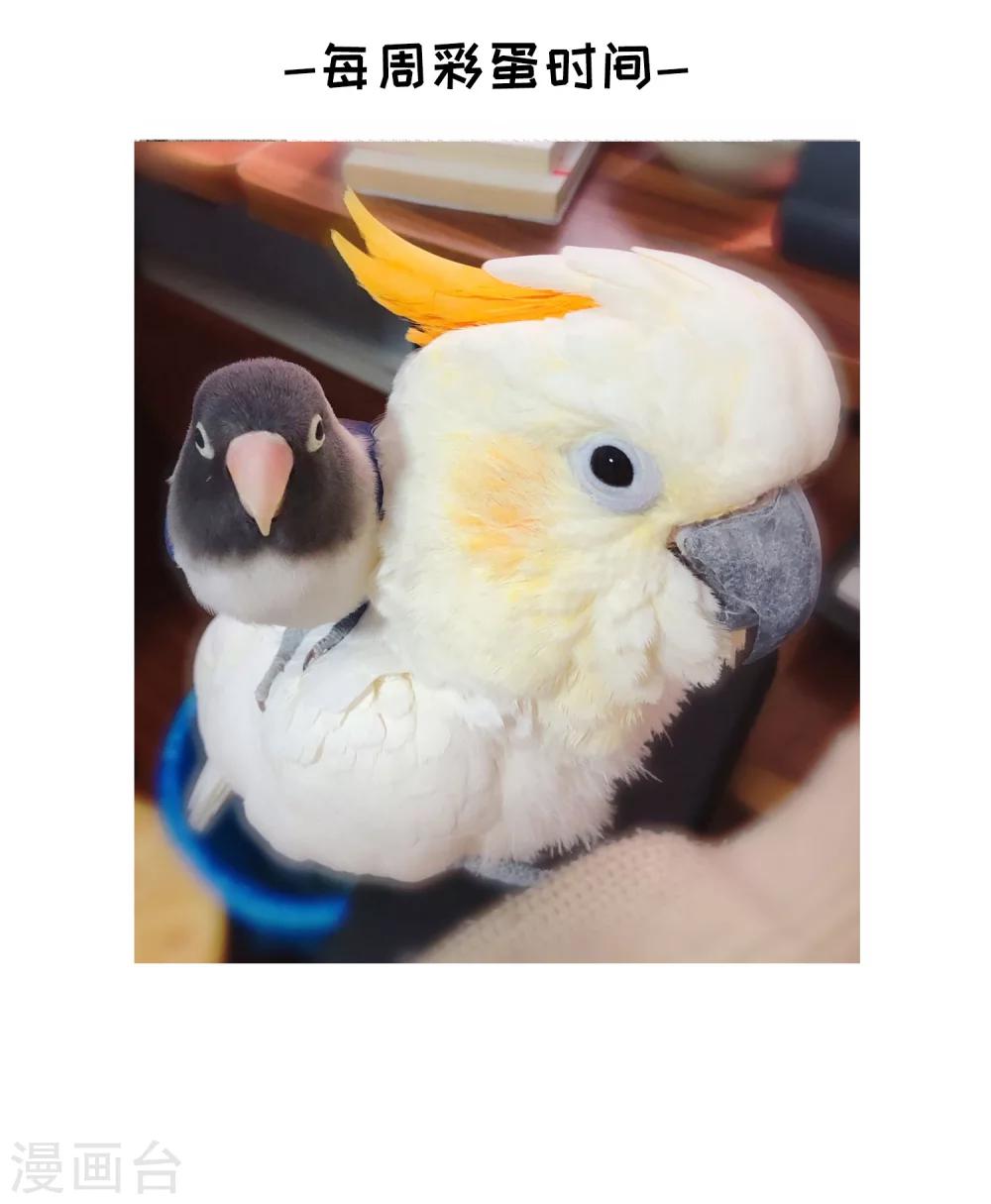 第86话 花前月下1-第87话