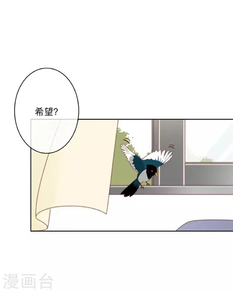 第44话 言希，你喜欢他-第45话