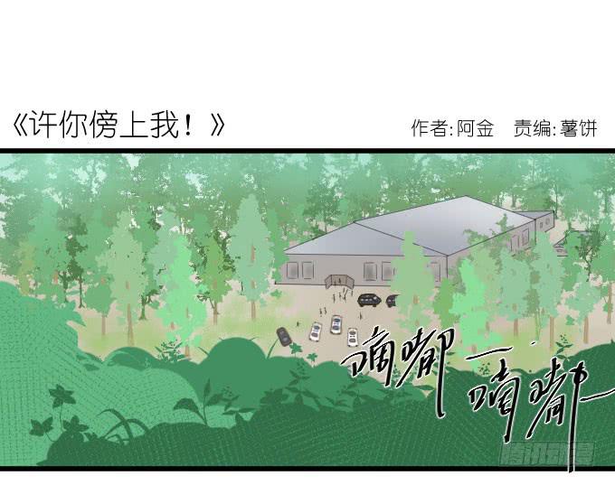 大卫卫导演？-第45话