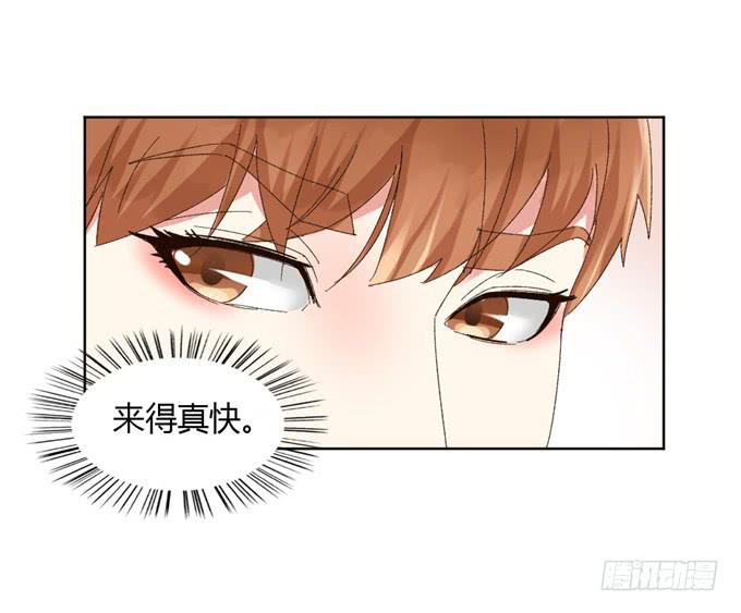 败家之犬(1/2)-第47话