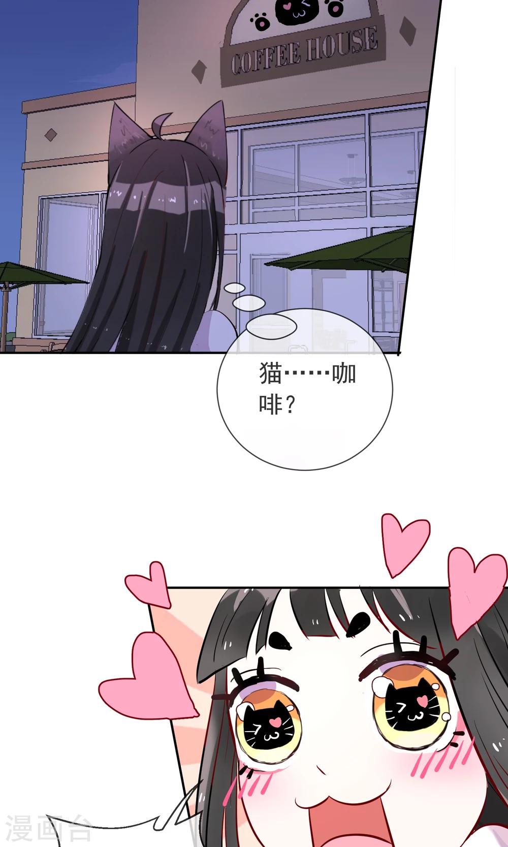 第24话 猫咖啡-第25话