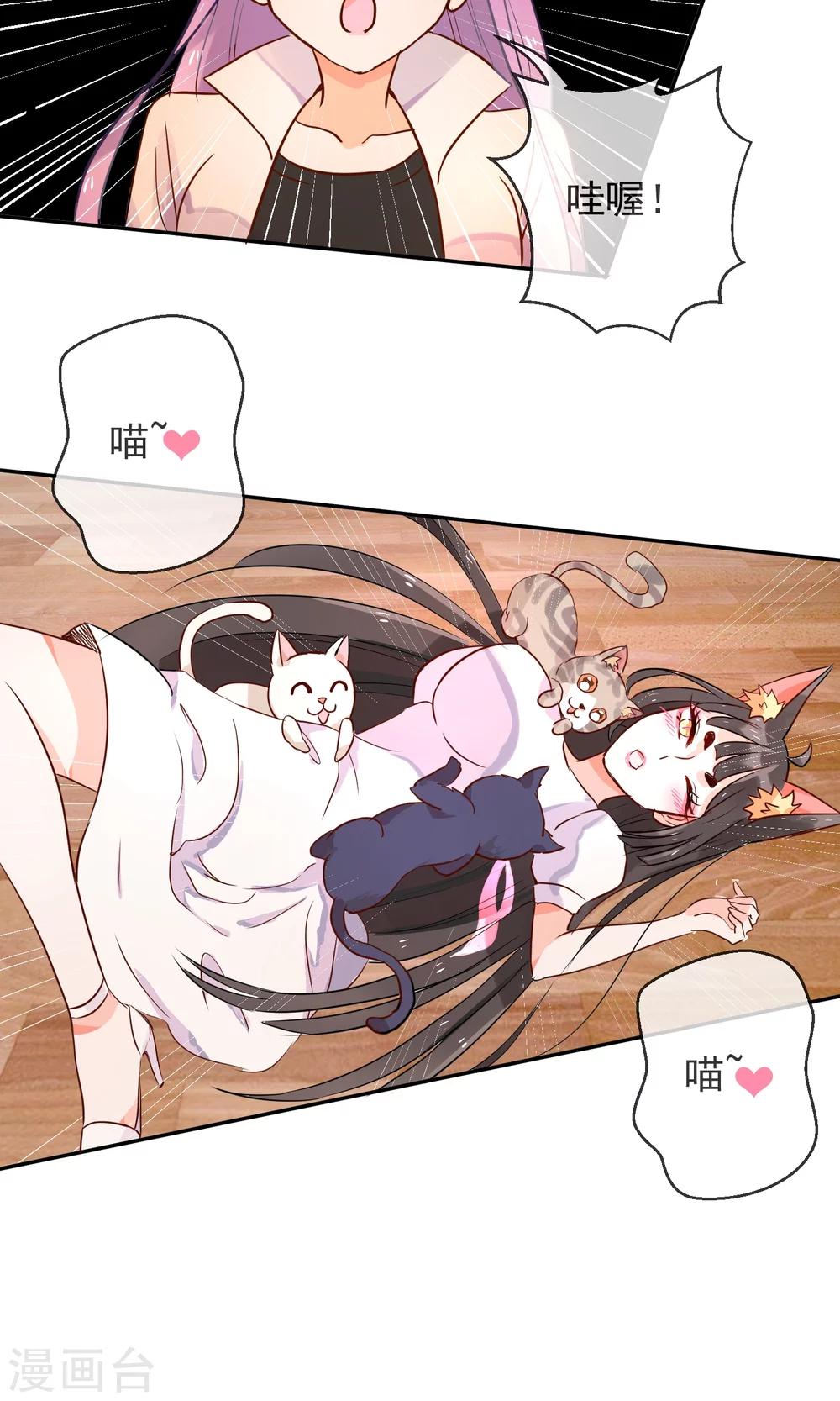 第24话 猫咖啡-第25话