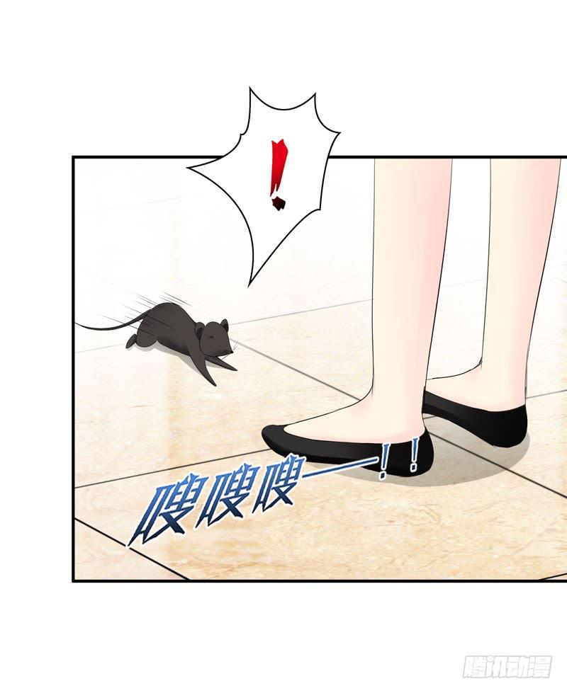 老鼠和播放器列表(1/2)-第45话