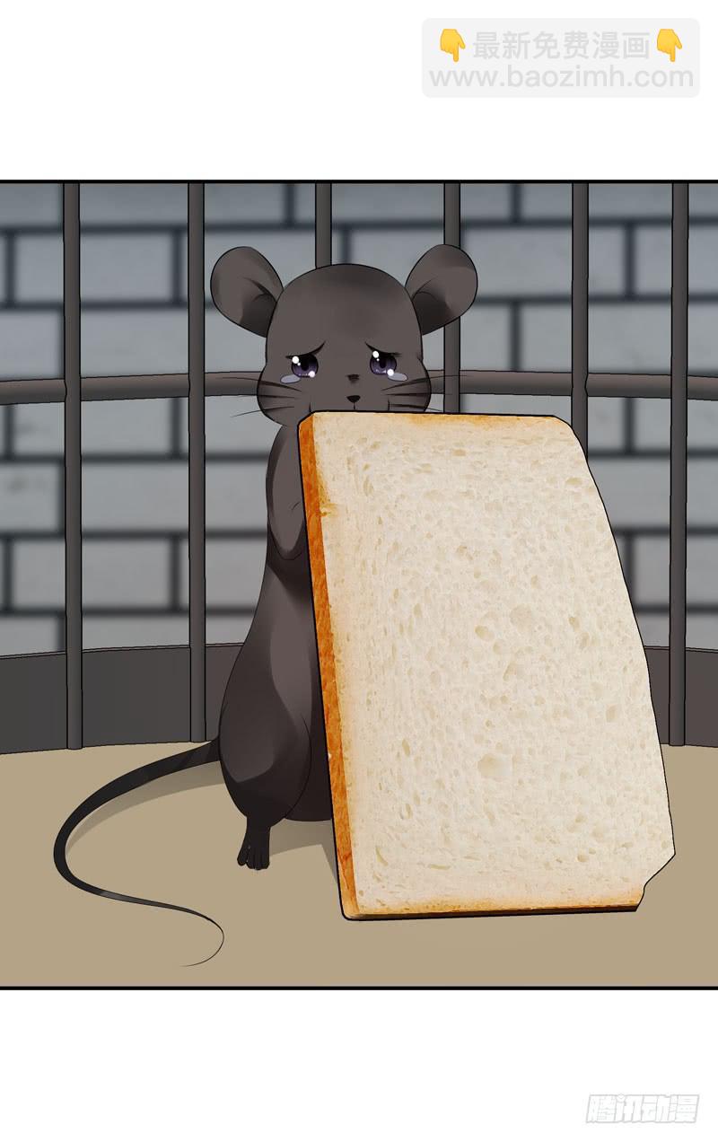 老鼠和播放器列表(1/2)-第45话