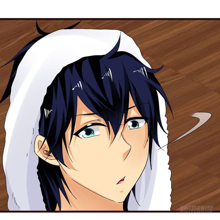 动物世界-第53话