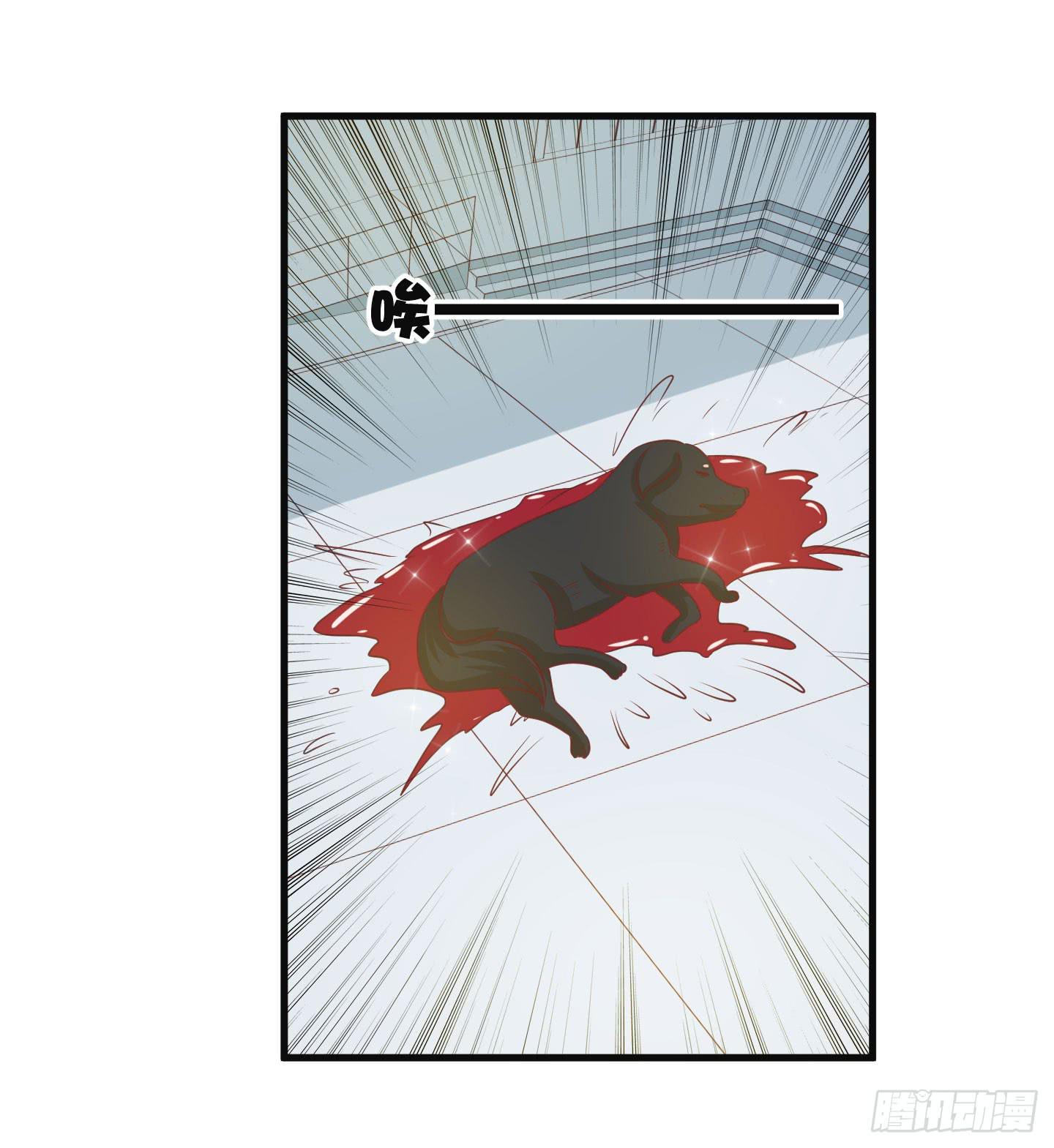 除了医患关系外，我们还可以是朋友-第11话