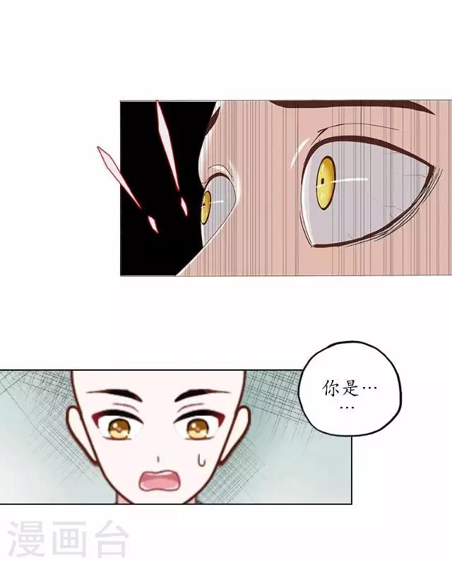 第1话 林中初遇-第1话