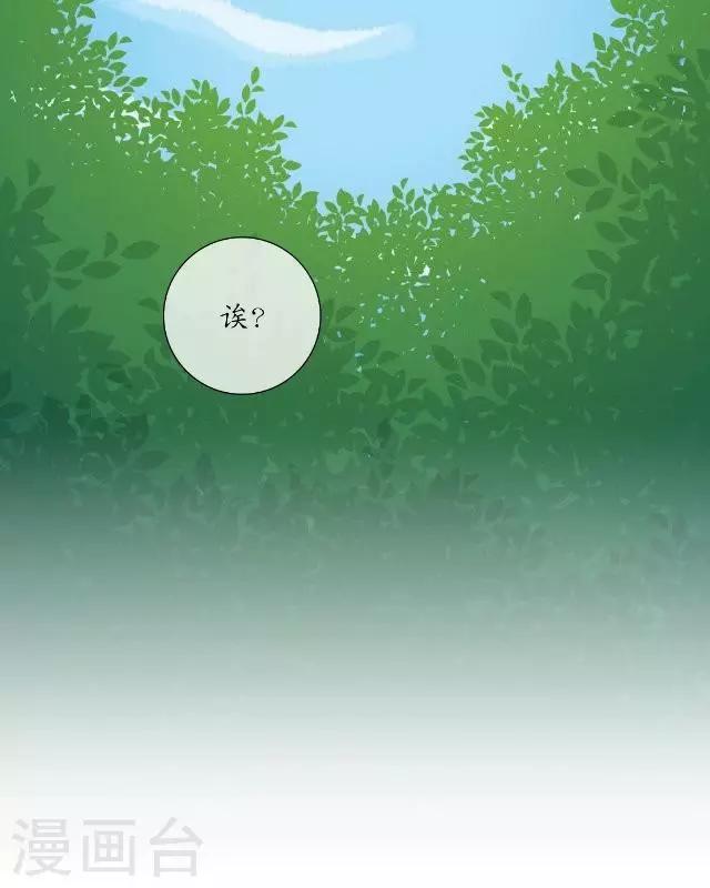 第1话 林中初遇-第1话