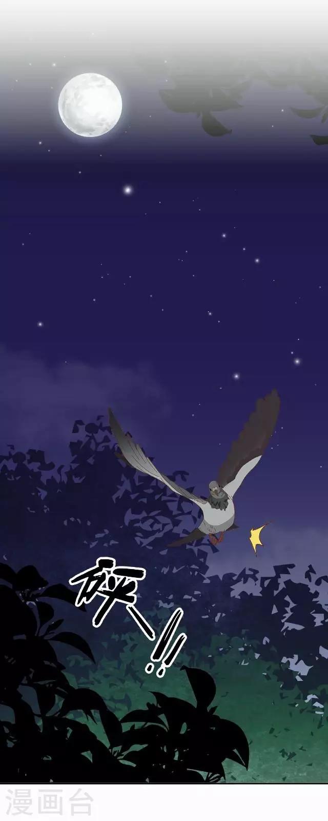 第1话 林中初遇-第1话