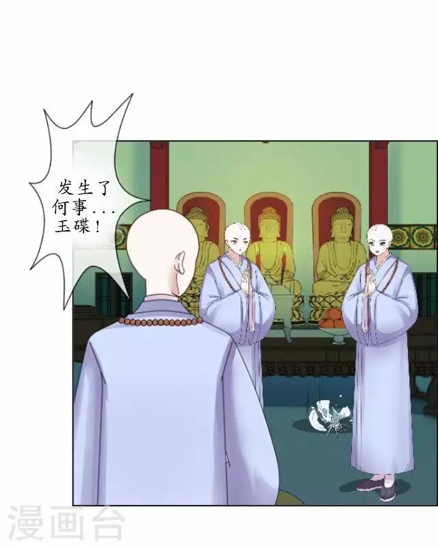 第1话 林中初遇-第1话