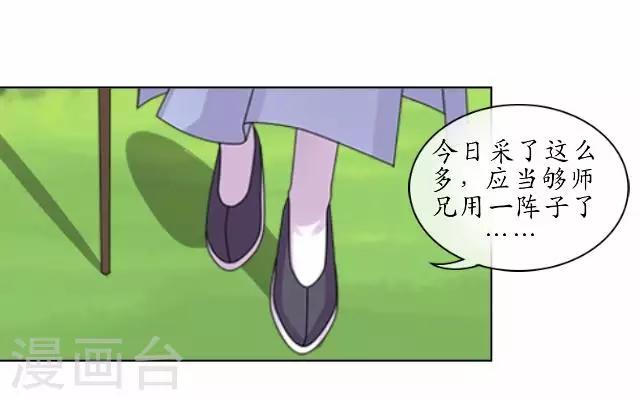 第1话 林中初遇-第1话