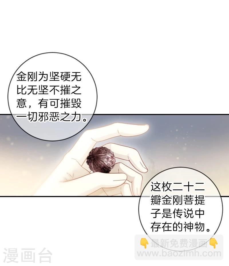 第141话 菩提子（六）(1/2)-第143话