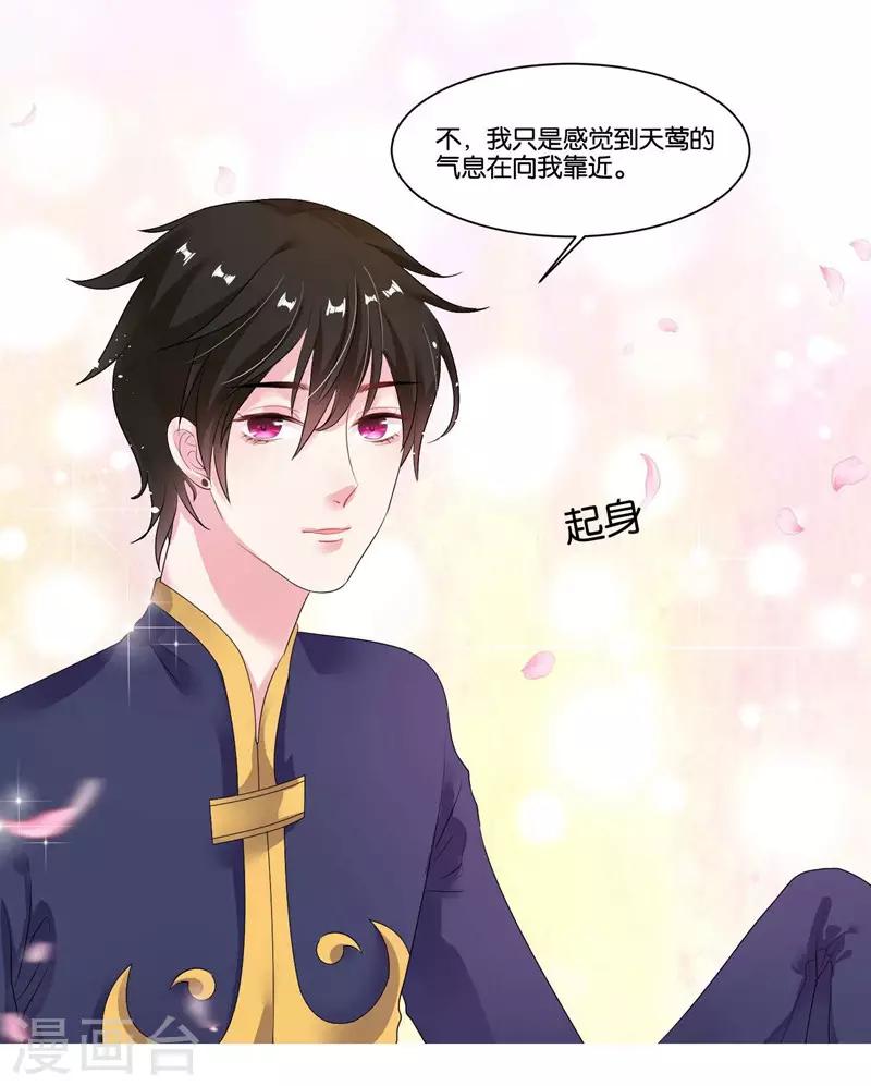 第16话 加入娱乐圈-第17话