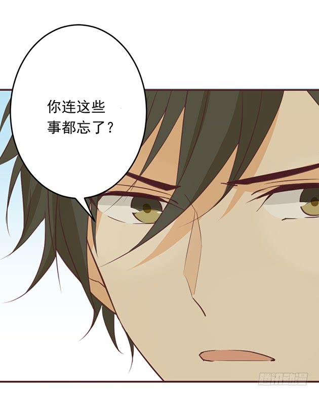 我的话，就是命令。(1/2)-第3话