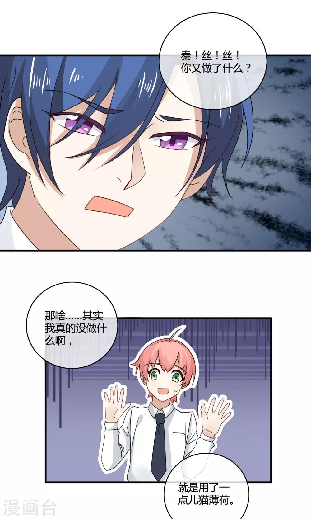 第4话 诱猫计划-第5话